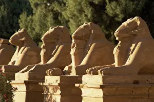 Mithological: Karnak Temple. Avenue of sphinxes with ram's head (symbol of