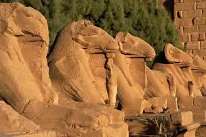 Mithological: Karnak Temple. Avenue of sphinxes with ram's head (symbol of