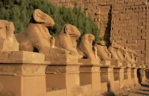 Mithological: Karnak Temple. Avenue of sphinxes with ram's head (symbol of