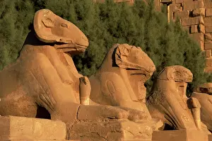 Mithological: Karnak Temple. Avenue of sphinxes with ram's head (symbol of