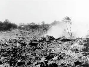 Ins. Of Civil Engineers: Kasamatu following 1891 earthquake