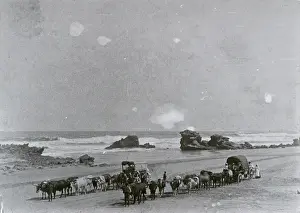 Oxwagons: Kasouga: Wagons on the beach