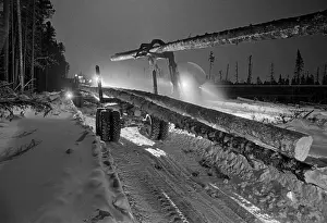 Tomsk: Kataiga logging enterprise