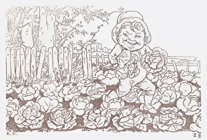 Cabbages: Kate Greenaway
