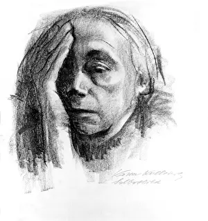 Kollwitz: Kathe Kollwitz