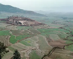 Fertility: Kathmandu views, 1985