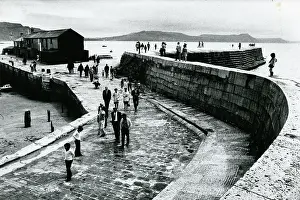 Cobb: Katkin on the Cobb, Lyme Regis