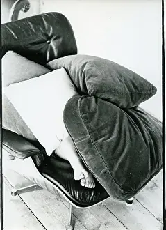 Cushions: Katkin under cushions