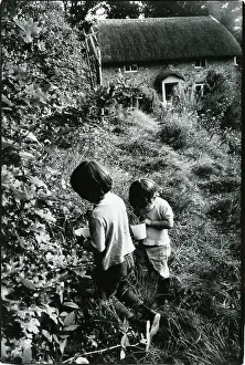 Blackberries: Katkin and Tom picking blackberries, Rose Cottage, 1970