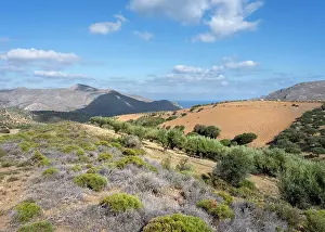 Kato: Kato Zakros, Crete, Greece