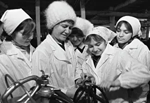 Lena: Katun State Pedigree Cattle Plant located in Biysk District