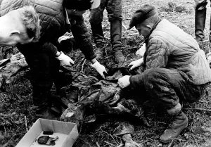 Directorate: The Katyn massacre
