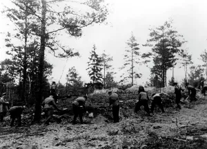 Shootings: The Katyn massacre