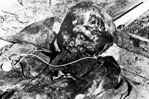 Brigadier: The Katyn massacre