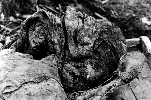 Directorate: The Katyn massacre