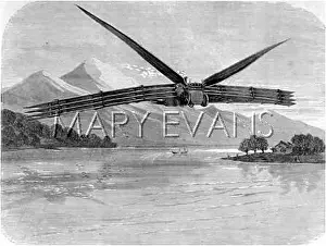 Mayers: KAUFMANN'S 1868 PROJECT