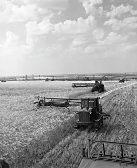 Operators: Kavkaz Collective Farm