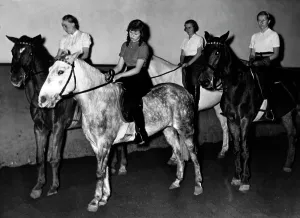 Equine: KdF riding course at Tattersall in the Berlin Tiergarten