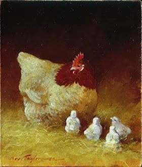 Closes: Keeping Closes to Mum II ' hen and chicks