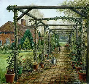Pergola: Keeping in the Shade ? cat under a pergola