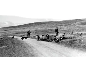 C1932: Keld, Tan Hill Road c1932