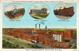 Cereals: KELLOGG FACTORY