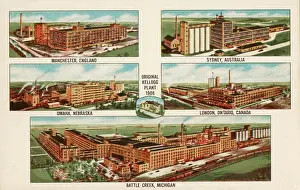 Flakes: Kellogg's Co Plants - Corn Flakes Promotional postcard