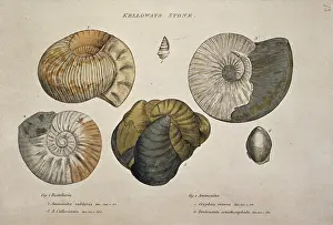 1769 1839: Kelloways Stone
