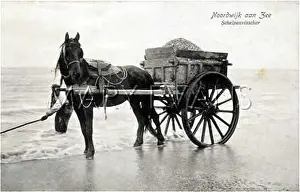 Dredging: KELP FISHING/NETHERLANDS