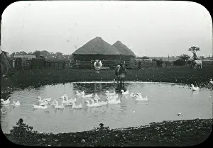 Ricks: Kelsey's Farm, Bexley