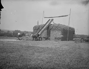 Ssls: Kemnal Farm - Hay-making