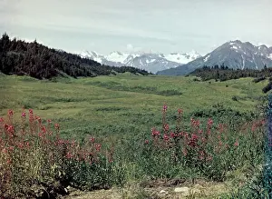 Seward: Kenai Peninsula - Alaska