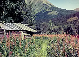 Anne Burton: Kenai Peninsula - Alaska