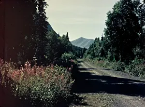 Seward: Kenai Peninsula - Alaska
