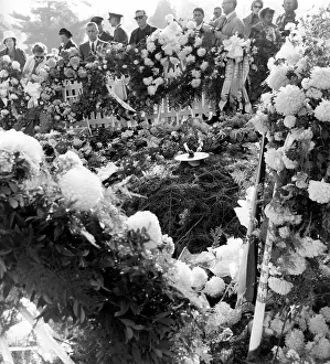 Shocking: Kennedy grave surrounded by flowers, Arlington Cemetery
