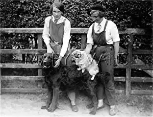 Frumpy: KENNEL MAIDS 1930S
