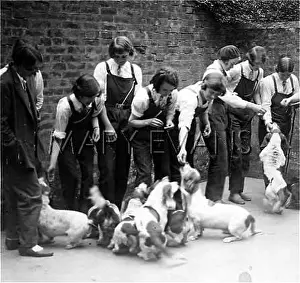 Tomboy: KENNEL MAIDS 1930S