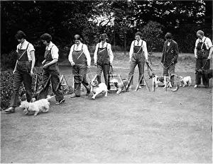 Tomboy: KENNEL MAIDS 1930S