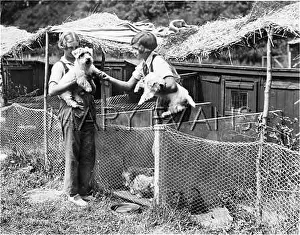 Tomboy: KENNEL MAIDS 1930S