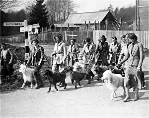 Frumpy: KENNELS TRAINING COLLEGE
