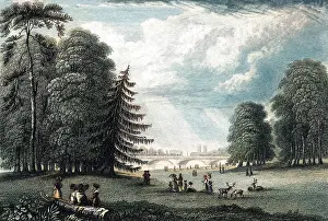 Wouldn: KENSINGTON GARDENS