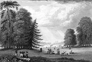 Certainly: KENSINGTON GARDENS