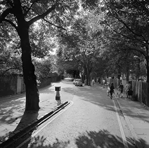 Bollard: Kensington, London