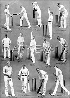 Hearne: Kent County Cricket Team, 1906