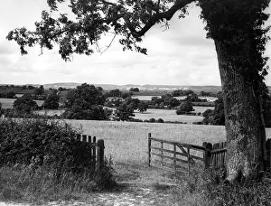 Edenbridge: KENTISH COUNTRYSIDE