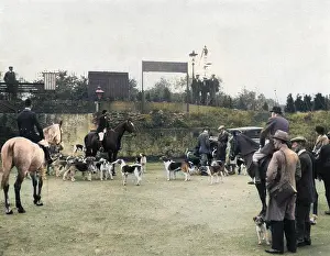 Foxhounds: KENTISH FOX MEET