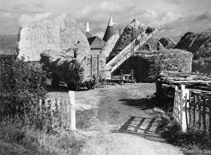 Cranbrook: KENTISH HARVEST