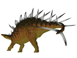 Stegosaur: Kentrosaurus dinosaur