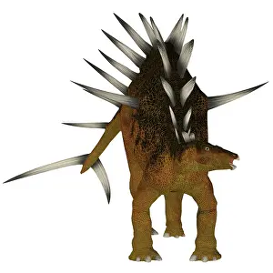Stegosaur: Kentrosaurus dinosaur