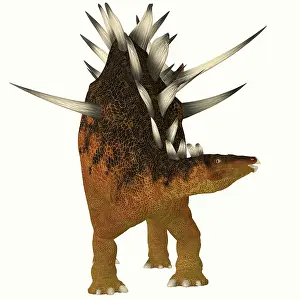 Terrible: Kentrosaurus dinosaur from the Jurassic Period